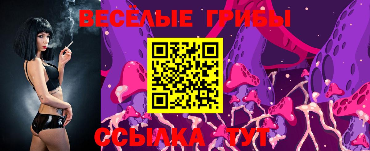 Азов  купить наркотик  Вход с VPN  Псилоцибиновые грибы Psilocybine cubensis 